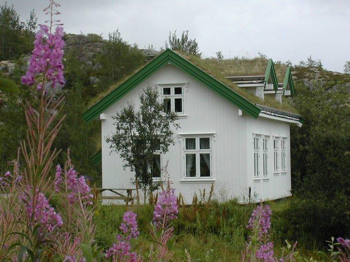 Kabelvag Feriehus & Camping Exterior photo